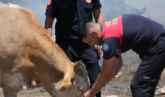 Yangın Sahasında Yürek Isıtan An