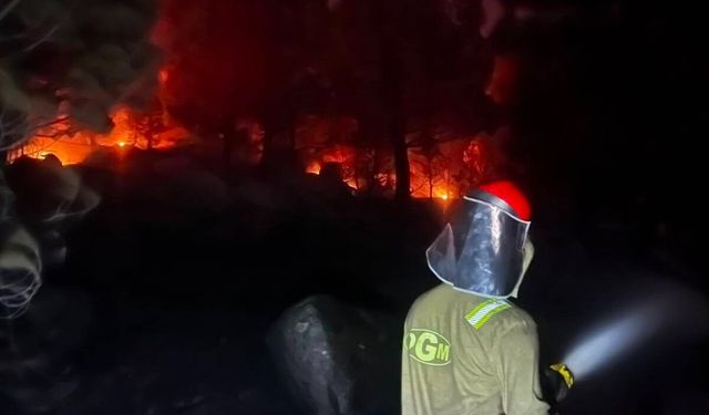 Balıkesir’de 6 bin 733 hektar alan zarar gördü