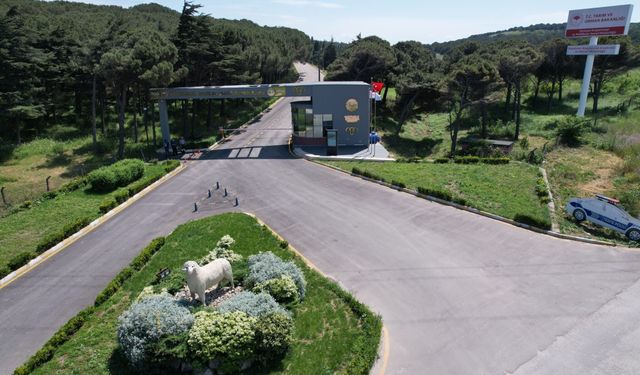 Bandırma Enstitüsü'nün TÜBİTAK projesine destek