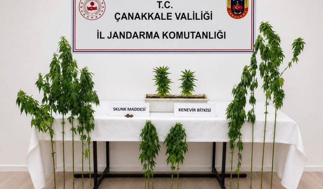 Çanakkale’de 3 ilçede uyuştur*cu operasyonu