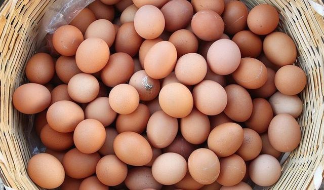 Salmonella alarmı: 306 kişi hastalandı