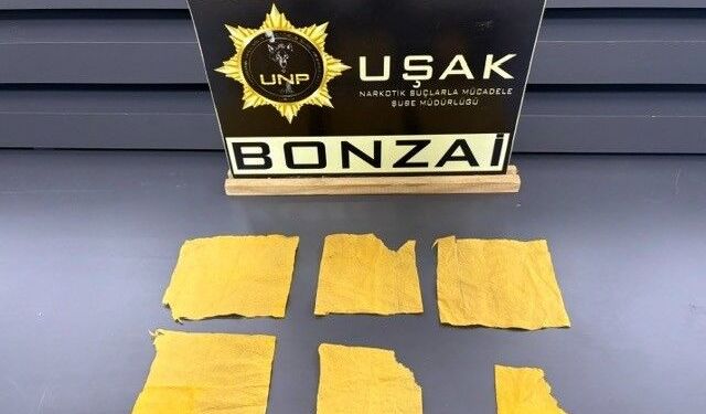 Uşak’ta uyuştur*cu operasyonunda 14 şüpheli tutuklandı