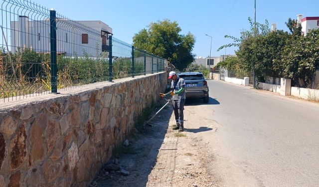 Bodrum'da ot temizliği çalışmaları sürüyor