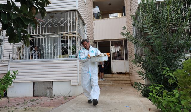 Marmaris'te bu ev'den 1 kamyon çöp çıktı