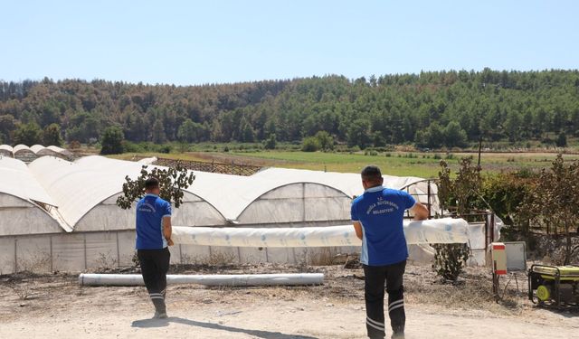 Seydikemer’de yangının yaraları sarılmaya başlandı