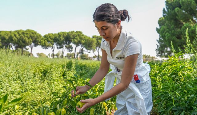 Osmangazi’de gençler gıdanın serüvenini deneyimledi