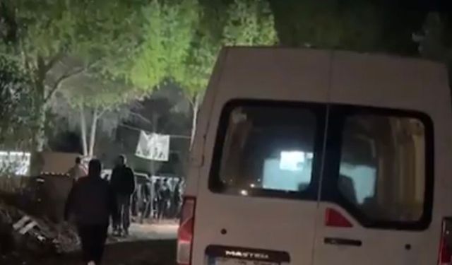Gece vakti operasyon… Yaklaşık 200 köpek toplatıldı!