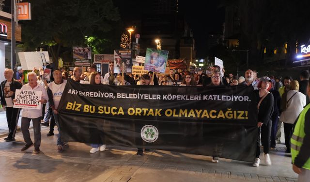 “İktidarın ortağı olup bizi tek bıraktınız”