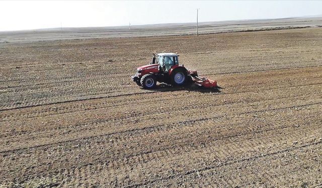 Tarımda yıllık enflasyon yüzde 37'ye yükseldi