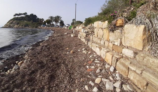 Aydın Kuşadası'nda antik döneme ait heykel çıktı