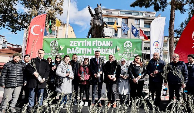 Zeytin fidanları toprakla buluşuyor, Denizli kazanıyor