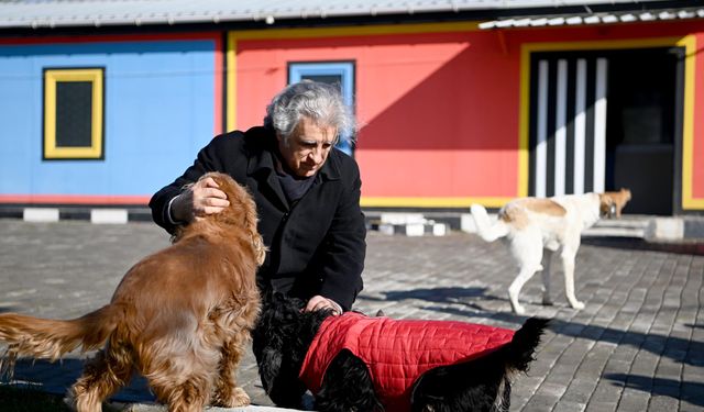 Kuşadası Kaymakamı İbrahim Keklik'ten can dostlarımıza ziyaret