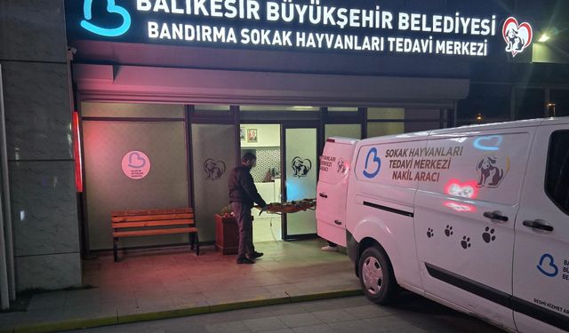 Balıkesir Belediyesi Yaralı köpeği kurtarmak için zamanla yarıştı!