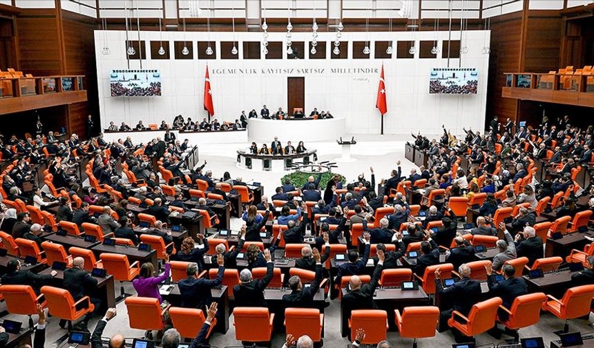 Tartışmalı 'zeytinlik teklifi' Meclis'te: 11 madde daha kabul edildi