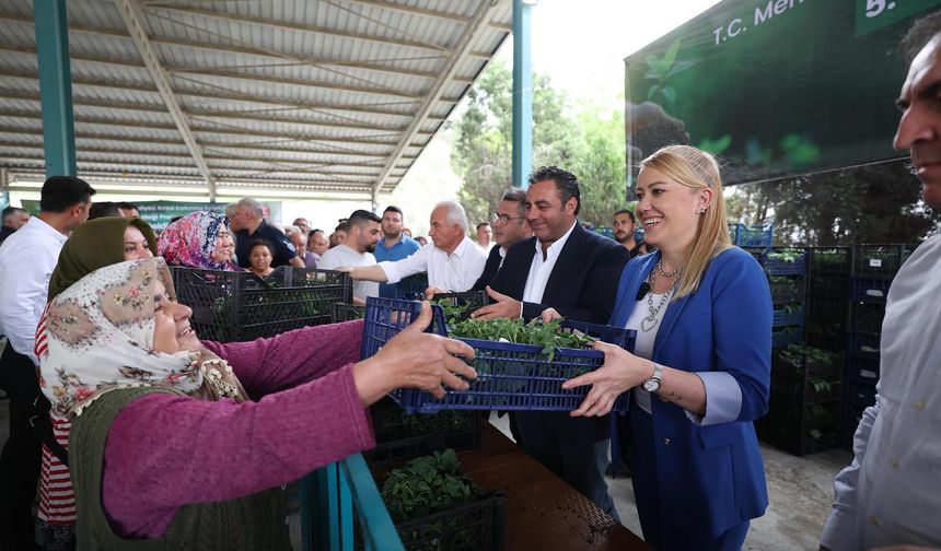 Merkezefendi Belediyesi'nden üreticilere fide desteği