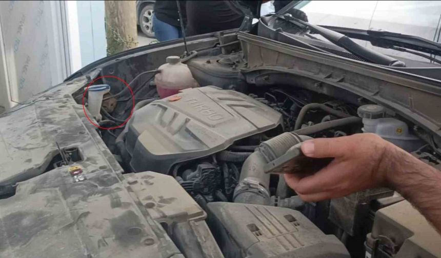 Aracın motoruna giren yavru kedi telefondan miyavlama sesi açılarak çıkartıldı