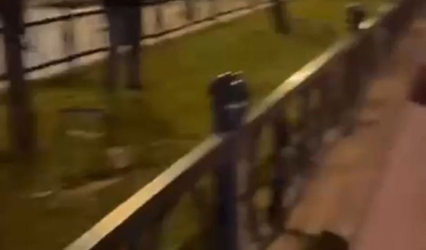 Bursa’da Türk bayrağını yakmaya çalışan şahıs yakalandı