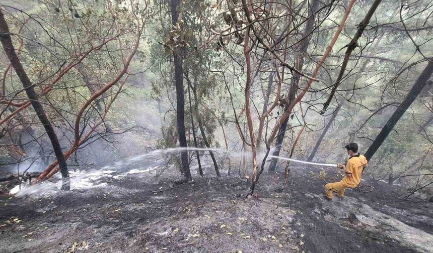 Kahramanmaraş’taki orman yangını kontrol altına alındı: 5,5 hektar zarar gördü