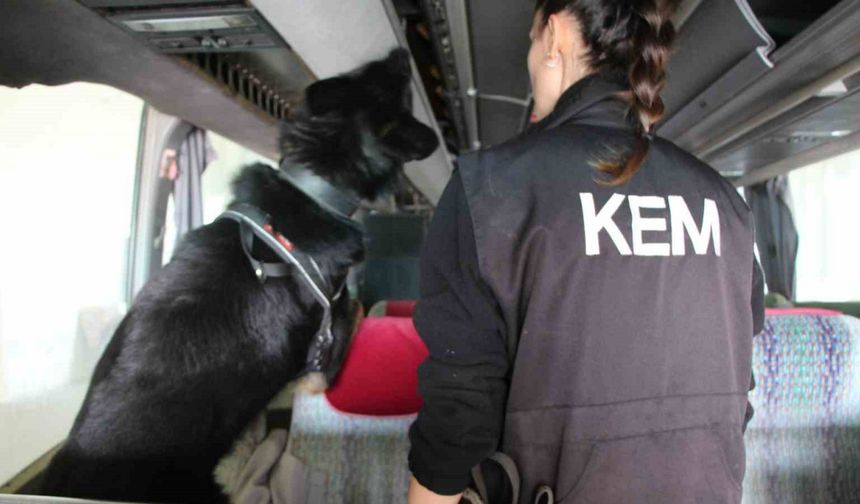 Kapıkule’de 77 kilo ecstacy ele geçirildi