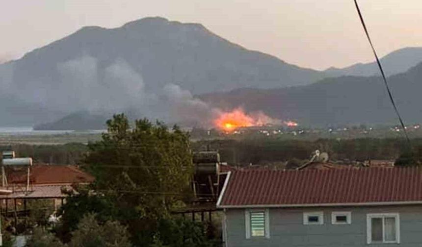 Köyceğiz’de sazlık alanda yangın çıktı