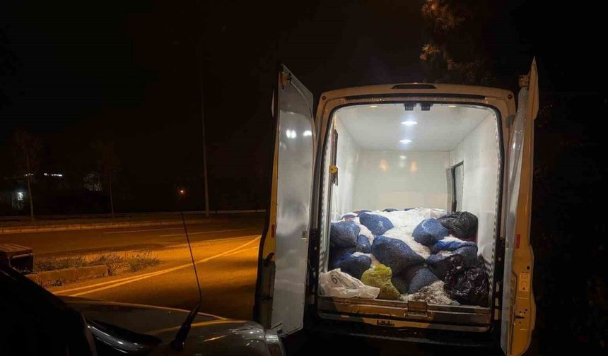 Samsun’da 3,8 ton kaçak avlanmış midye ele geçirildi
