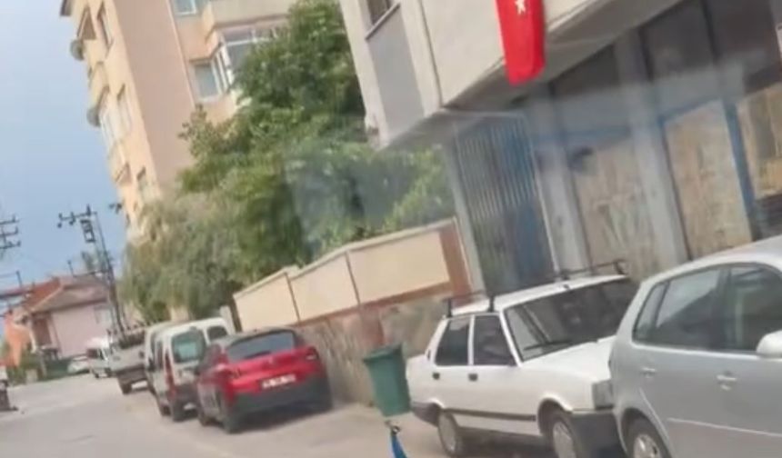 Sokak ortasında gezen tavus kuşu sürücülere ilginç anlar yaşattı
