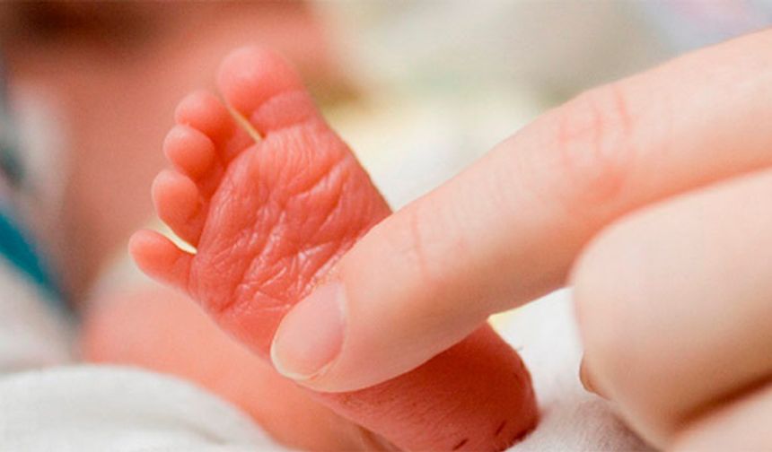 Doğurganlık hızı ve doğum yapan annelerin yaş ortalaması belli oldu