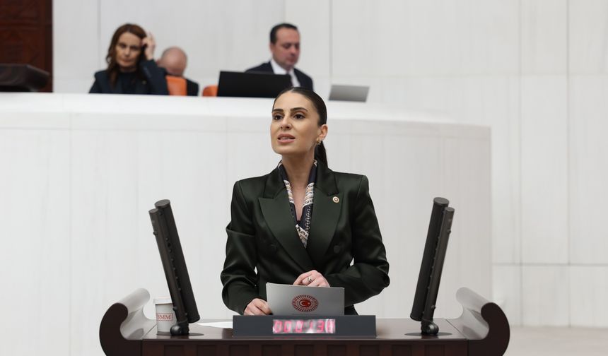 CHP'li Özcan: Hayvanların yaşam hakkını gasp eden yasa, baskı aracına dönüştü