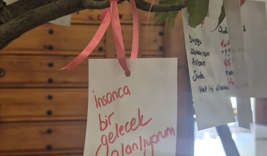 Üniversiteli gençlerin 'Umut' ağacında umutsuzluk...