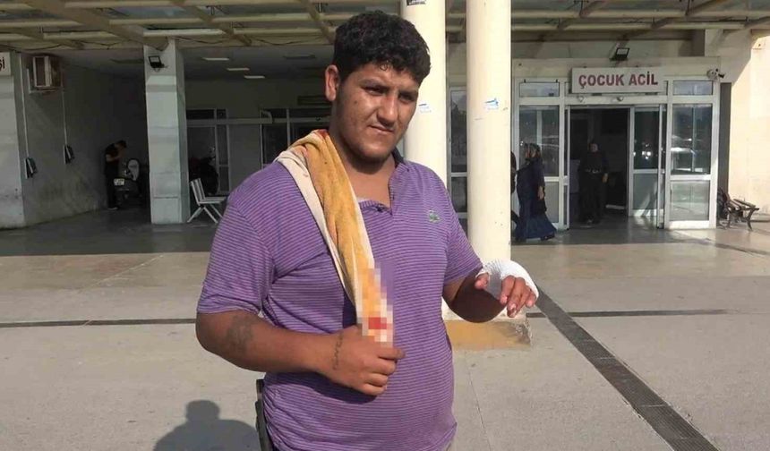 Adana’da acemi kasaplar hastanelere başvurdu