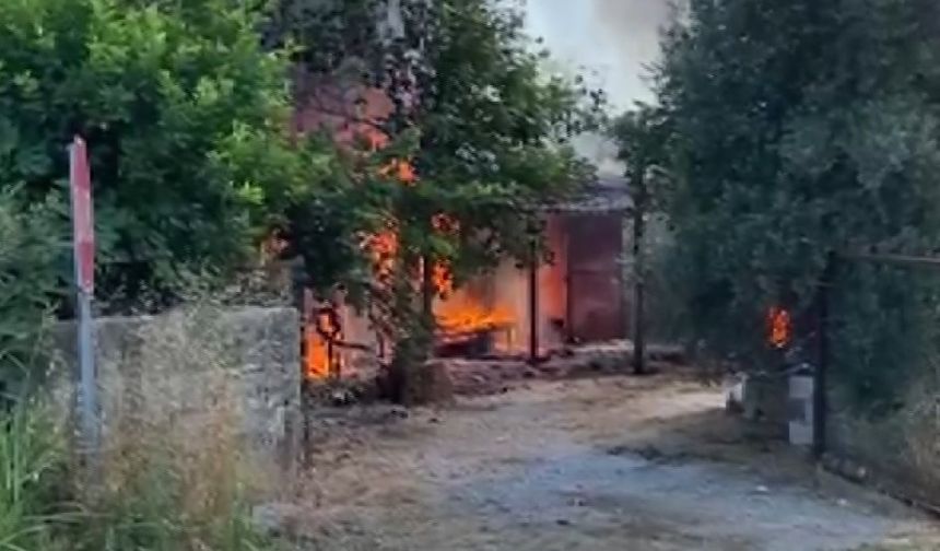 Antalya’da çıkan yangında ev ve traktör kül oldu