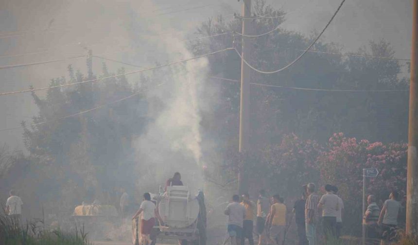 Antalya’da iki noktada çıkan orman yangını kontrol altına alındı