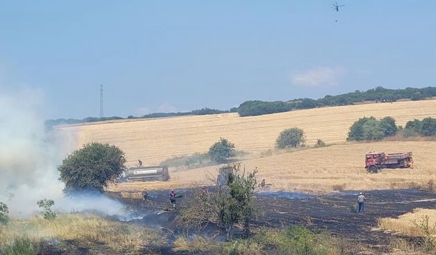 Biga’da tarım arazisinde çıkan yangın kontrol altına alındı