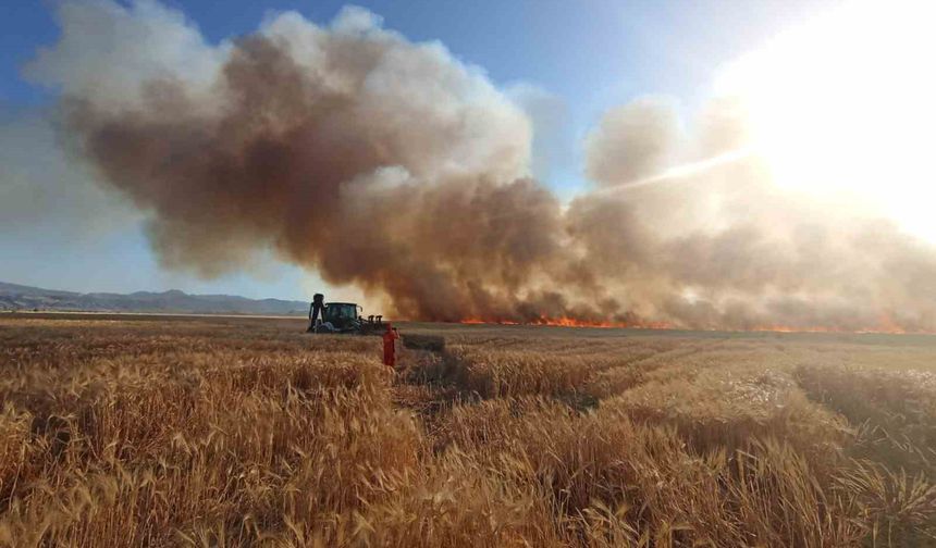 Bingöl’de onlarca dönüm ekili arazi küle döndü