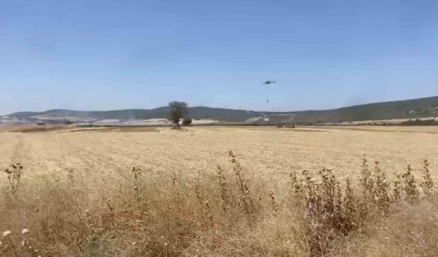 Çanakkale’de tarım arazisinde çıkan yangın kontrol altına alındı