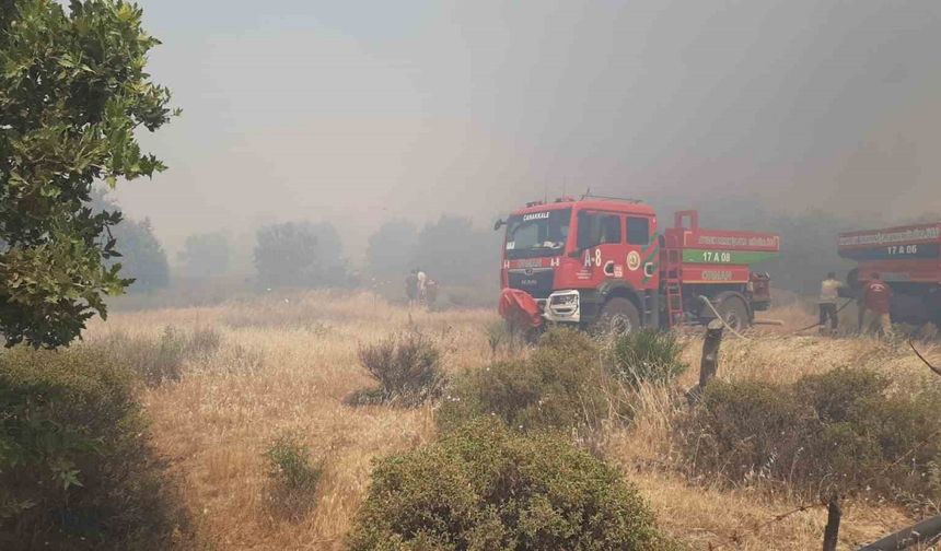 Çanakkale’de tarım arazisinde yangın