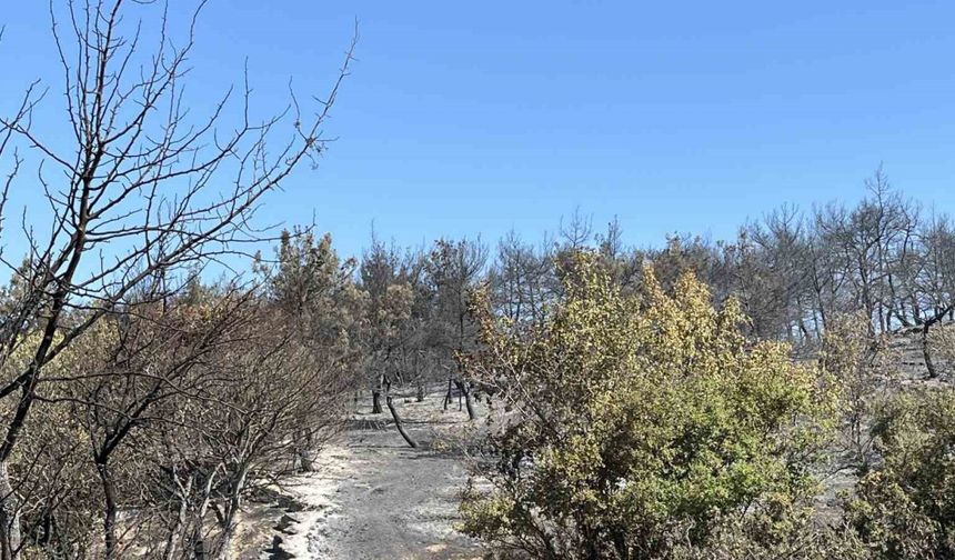 İzmir Aliağa yangını kontrol altında