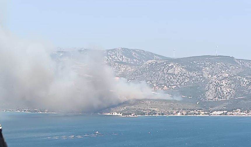 İzmir’de çıkan orman yangınına havadan ve karadan müdahale başladı
