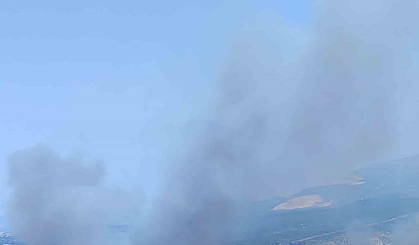 İzmir’de ormanlık alanda çıkan yangın kontrol altında
