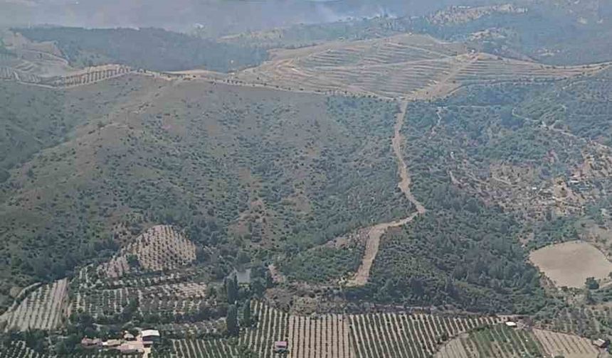 İzmir’de ormanlık arazide çıkan yangın kontrol altında
