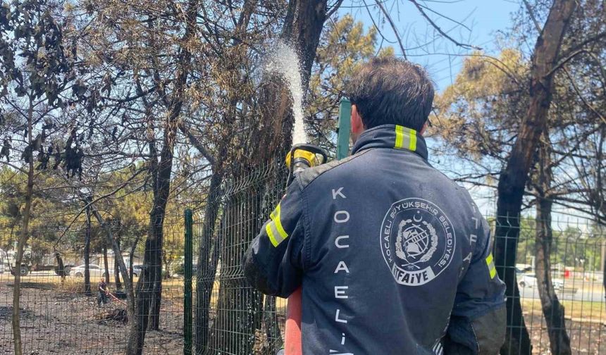 Kocaeli’de ağaçlık alanda yangın çıktı, 4 kişi dumandan etkilendi