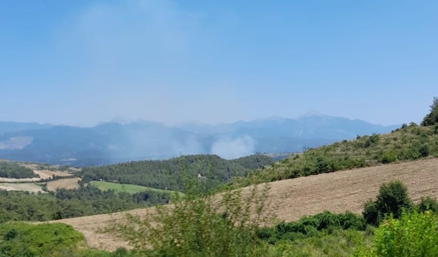 Osmaniye’de orman yangını başladı