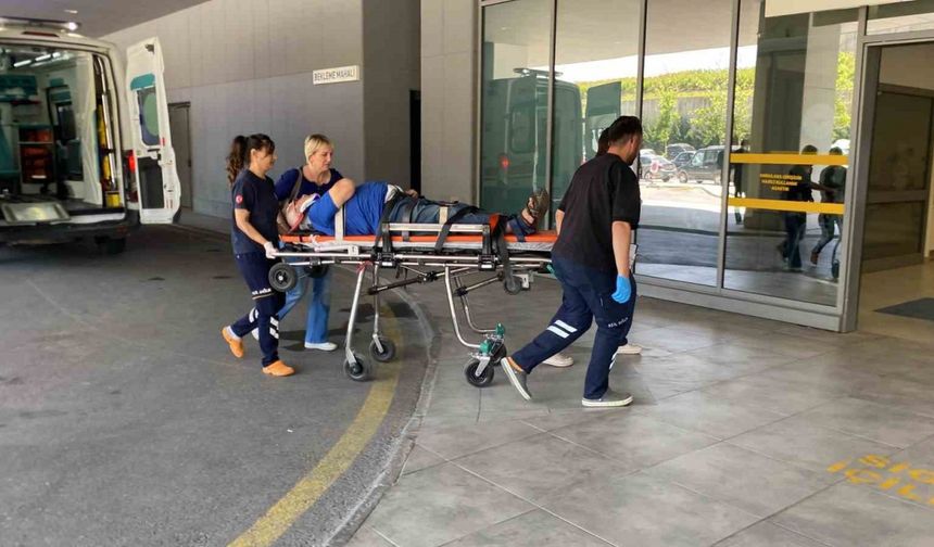 Otomobil ağaca çarptı, yaşlı çift yaralandı