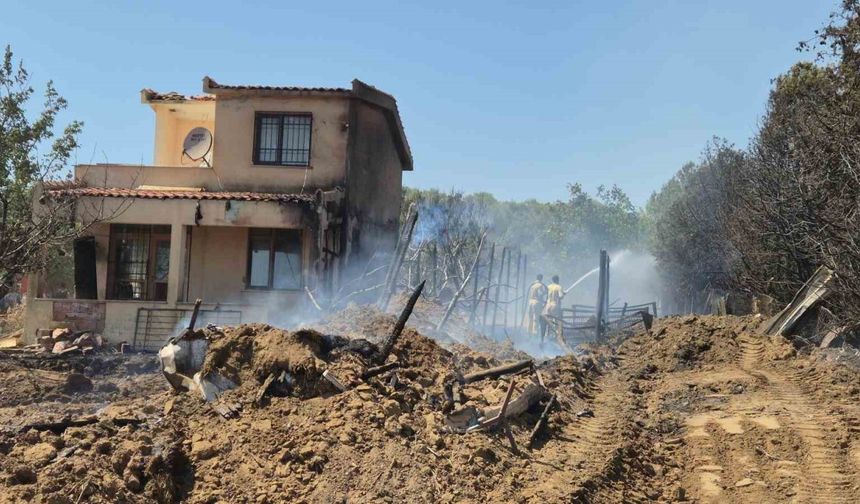 Tekirdağ’da çıkan yangın 2 eve sıçradı, 100 dönüm alan kül oldu