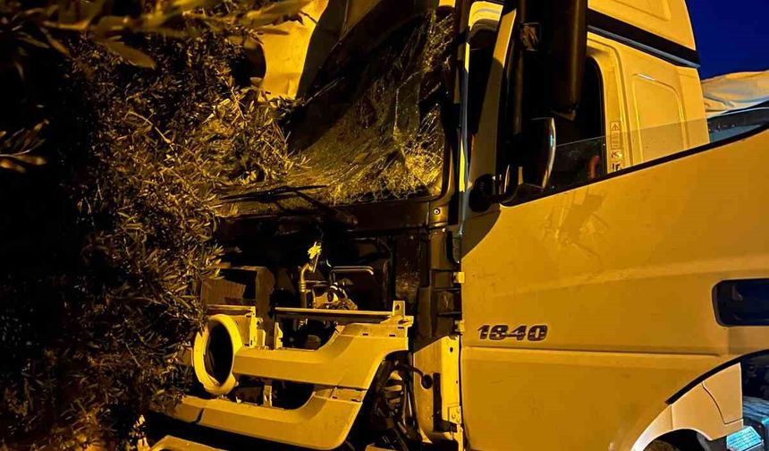 Tır sürücüsü uyudu, ortalık savaş alanına döndü: Önce üste geçide ardından da ağaç ile 2 araca çarptı