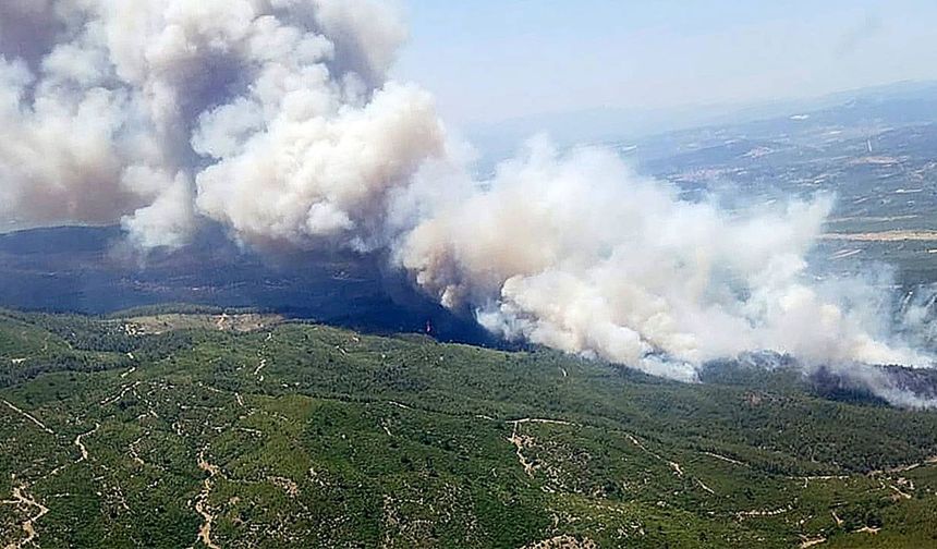 Manisa'da orman yangını: Alevler yayılıyor!