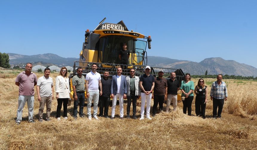 Söke Belediyesi’nde yeni sezonun Buğday hasadı