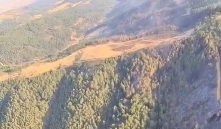 Uşak ve Bilecik’te yangınlar kontrol altında...