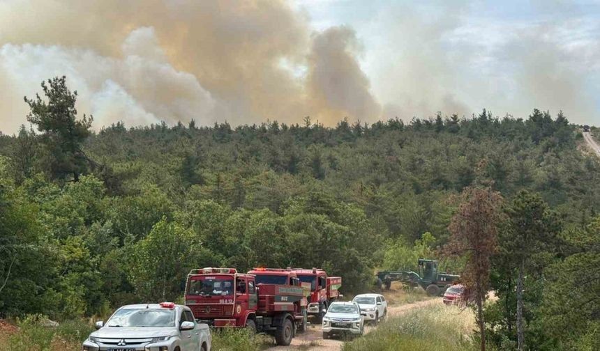 Bilecik’te 2 köyün tahliye edildiği yangın kontrol altına alındı