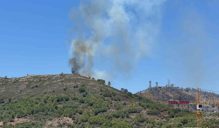 Gazipaşa’da ormanlık alandaki yangın kontrol altına alındı